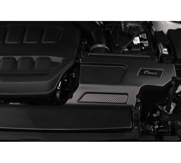 R600 Carbon Lid Gloss (Pre Evo Intake) - 2.0 - TSI - TSFI - EA888